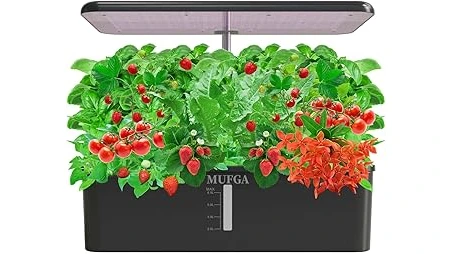 The image shows a sleek, compact hydroponic system ideal for beginners growing fresh produce indoors.