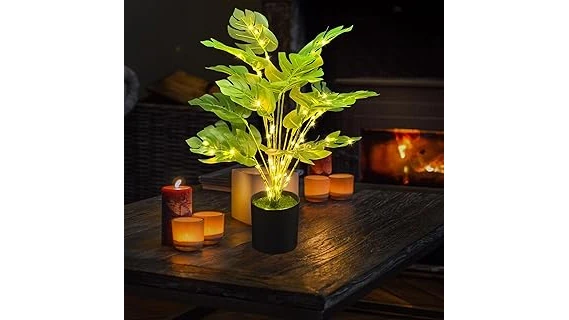 The image shows a large Snake Plant in a stylish pot, perfect for low-light spaces.