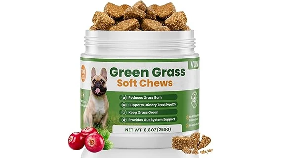 The image shows a happy dog playing on a safe, green, and durable lawn alternative.