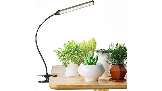 The image shows vibrant cannabis seedlings under a grow light, suitable for the best 10 lights for cannabis seedlings.