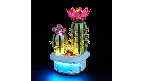 Best 10 Light for Christmas Cactus