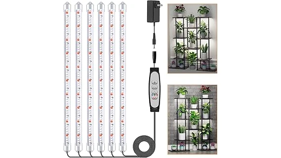 The image shows a healthy Monstera plant bathed in ideal light, perfect for the best lighting solutions.