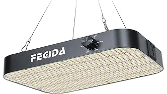 The image shows a glowing LED grow light illuminating healthy cannabis seedlings, perfect for best light for weed seedlings.