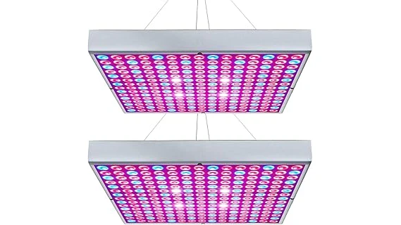The image shows a selection of powerful grow lights suitable for indoor cannabis cultivation.