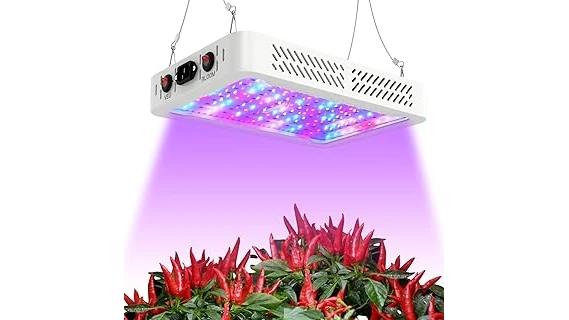 Best 10 Lights for Growing Weed