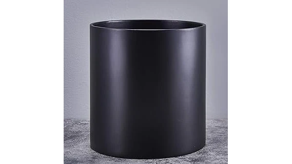 Best 10 Lime Tree for Pots