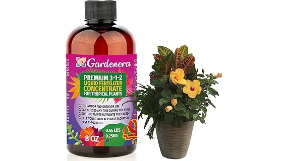 Best 10 Liquid Fertilizer for Indoor Plants area