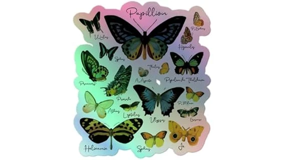 Best 10 Milkweed for Monarch Butterflies