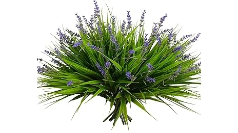 The image shows a frosty evergreen branch adorned with vibrant red berries, a perfect winter outdoor plant.