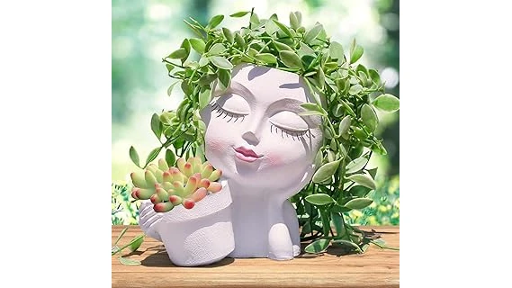 Best 10 Planter for String of Pearls