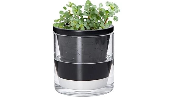 Best 10 Planter for Venus Fly Trap