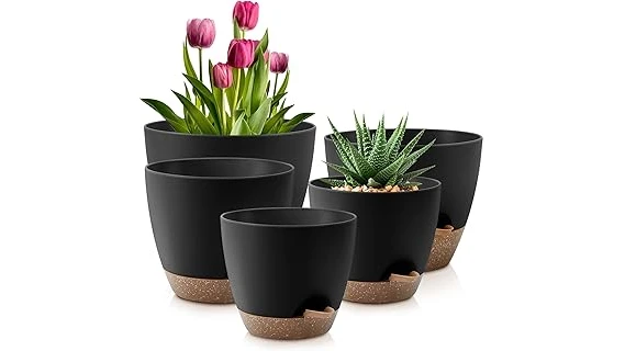 The image shows a ZZ plant in a stylish modern planter, perfect for the best 10 planters for ZZ plant list.
