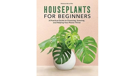 Best 10 Plants for Beginners Indoor