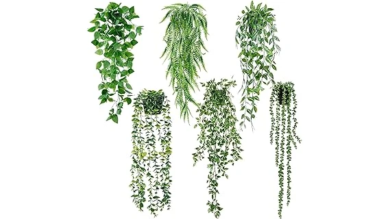 Best 10 Plants for Classroom Without Windows