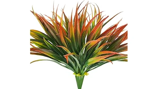 Best 10 Plants for No Sun