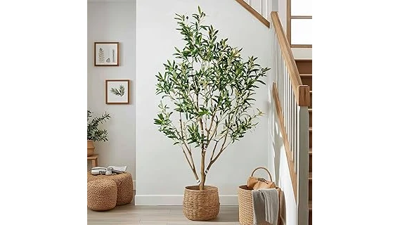 Best 10 Plants for Outdoor Patio