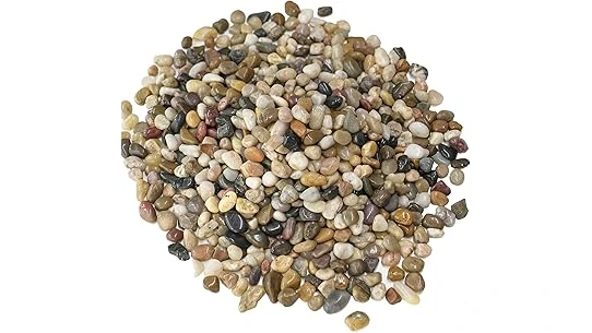 Best 10 Plants for Rock Garden