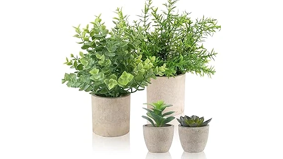The image shows an assortment of adorable small potted plants ideal for tiny spaces.