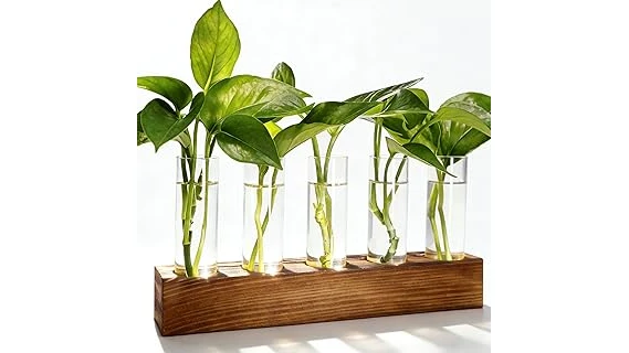 Best 10 Plants for Water Propagation