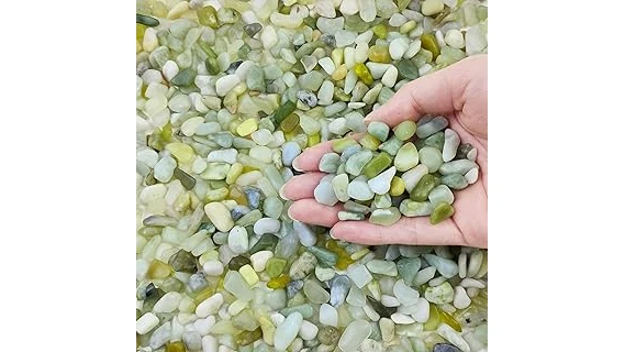 Best 10 Plants for a Small Terrarium