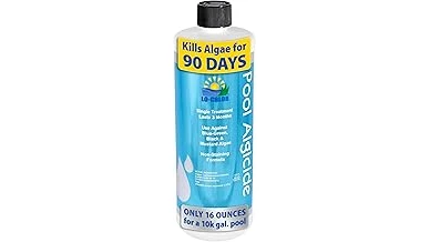 This image shows a variety of pool shock products, perfect for killing algae.