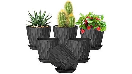 This image shows a healthy aloe plant in a stylish pot, perfect for the best 10 pots for aloe plants.