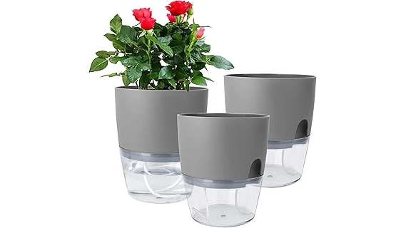 This image shows an assortment of different pots perfect for carnivorous plants.