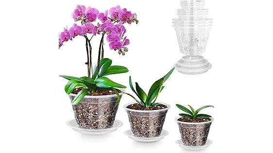 The image shows a variety of pots suitable for Dendrobium orchids, highlighting popular choices.