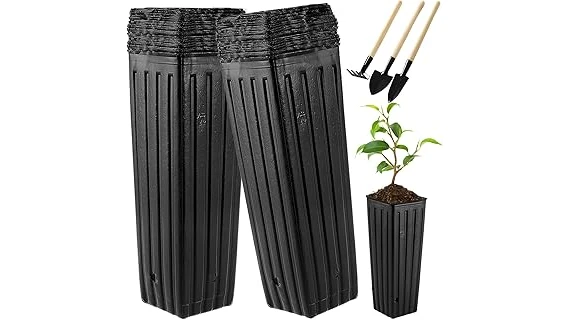 Best 10 Pots for Fig Trees