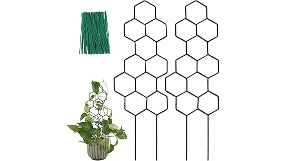 Best 10 Pots for Ivy Plants