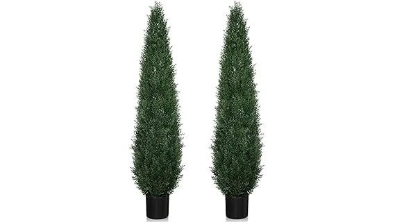 The image shows lush potted plants providing privacy, ideal for a Best 10 Potted Plants for Privacy selection.