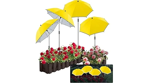 Best 10 Potted Plants for Shade