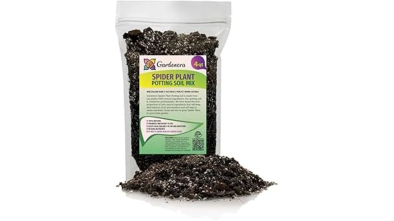 The image shows a healthy spider plant in a pot, surrounded by bags of potting mix.