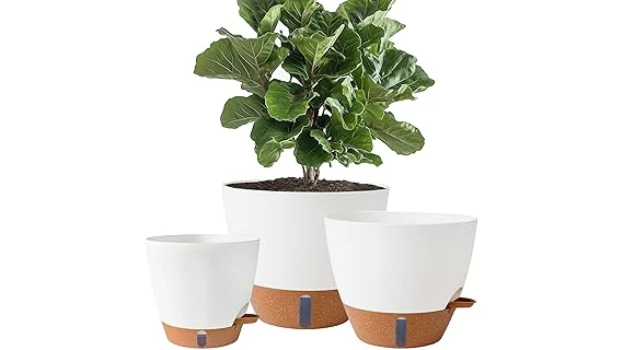 Best 10 Self Watering Pots for Indoor Plants