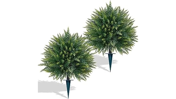 The image shows a lush green shrub, perfect for enhancing your front yard's curb appeal.