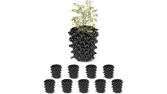 Best 10 Size Pot for Autoflower