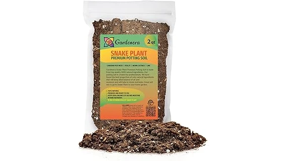 Best 10 Soil Mix for Snake Plants