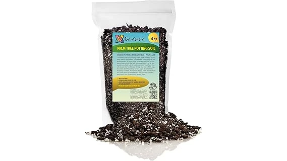 Best 10 Soil for Bird of Paradise