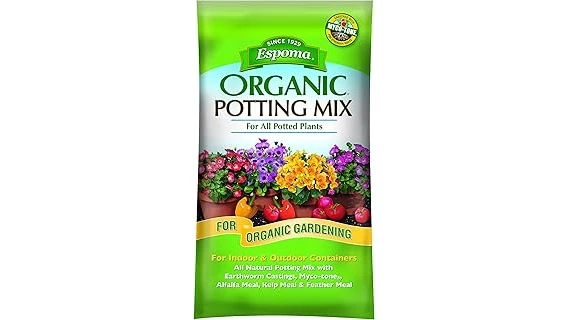 Best 10 Soil for Fiddle Leaf