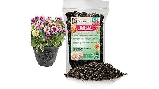 The image shows vibrant geraniums thriving in healthy potted soil, perfect for the Best 10 Soil for Geraniums in Pots.