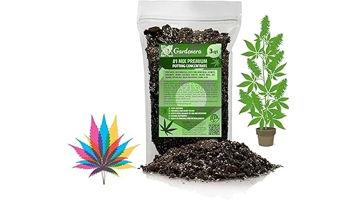 Best 10 Soil to Grow Marijuana Plants Indoors