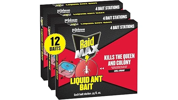 Best 10 Spray to Kill Ants in House