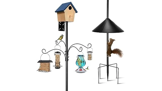 This image shows a metal pole with a bird feeder attached, designed to deter squirrels and be a top bird feeder pole.