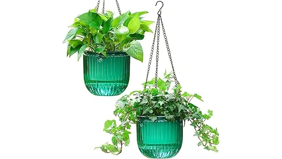 The image shows a vibrant collection of lush succulents artfully arranged in a hanging basket.