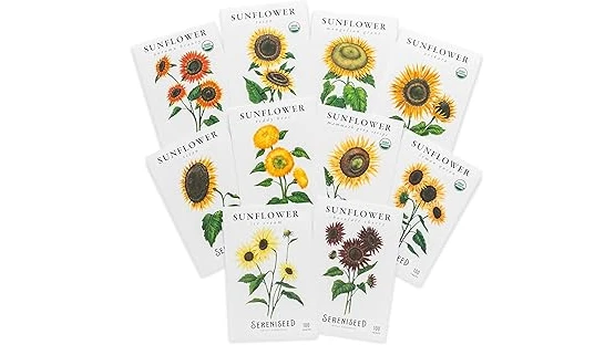Best 10 Sunflower Seeds for Planting