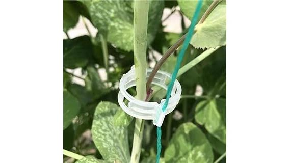Best 10 Support for Tomato Plants