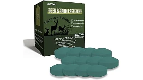 This image shows lush green plants ideal for a deer-friendly garden, likely from a guide to the best 10 things to plant for deer.