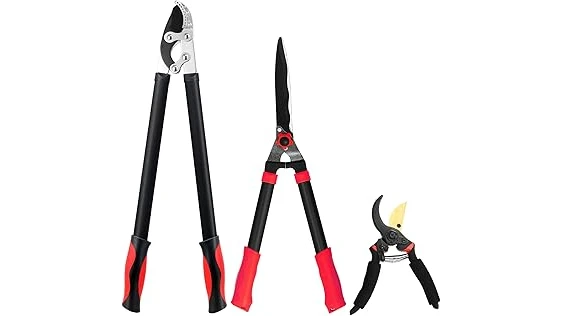 The image shows a variety of lawn care tools, highlighting the best 10 tools for lawn care.