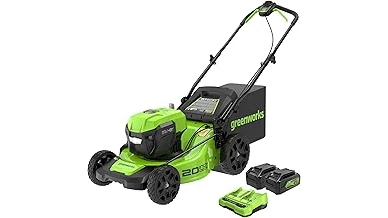 The image shows a self-propelled lawn mower, ideal for effortless lawn care and a top value choice.