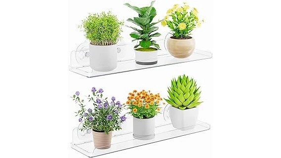 Best 10 Window Direction for Plants
